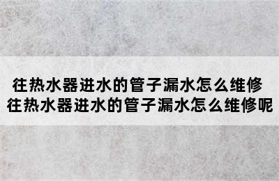 往热水器进水的管子漏水怎么维修 往热水器进水的管子漏水怎么维修呢